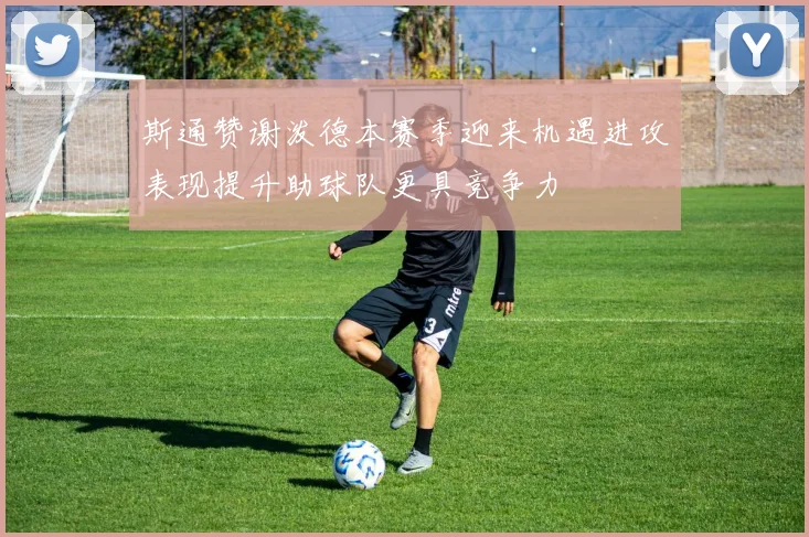 斯通赞谢泼德本赛季迎来机遇进攻表现提升助球队更具竞争力