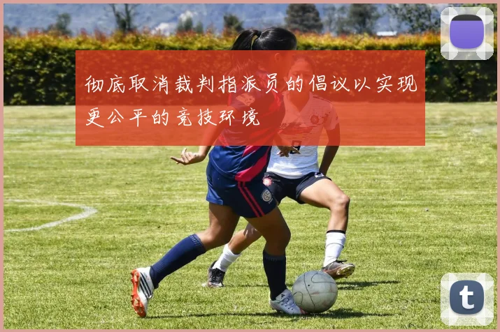 彻底取消裁判指派员的倡议以实现更公平的竞技环境